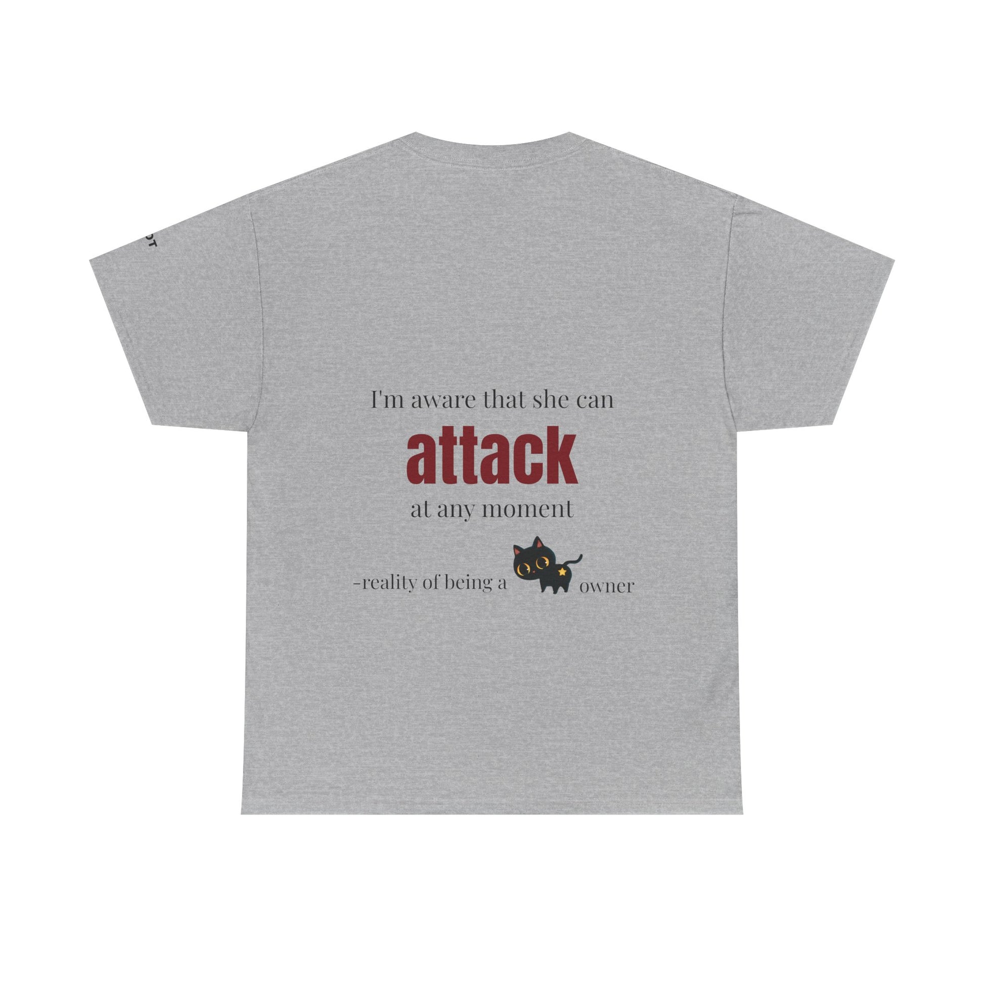 "I'm aware that she can attack at any moment" - reality of being a cat owner - The Voice