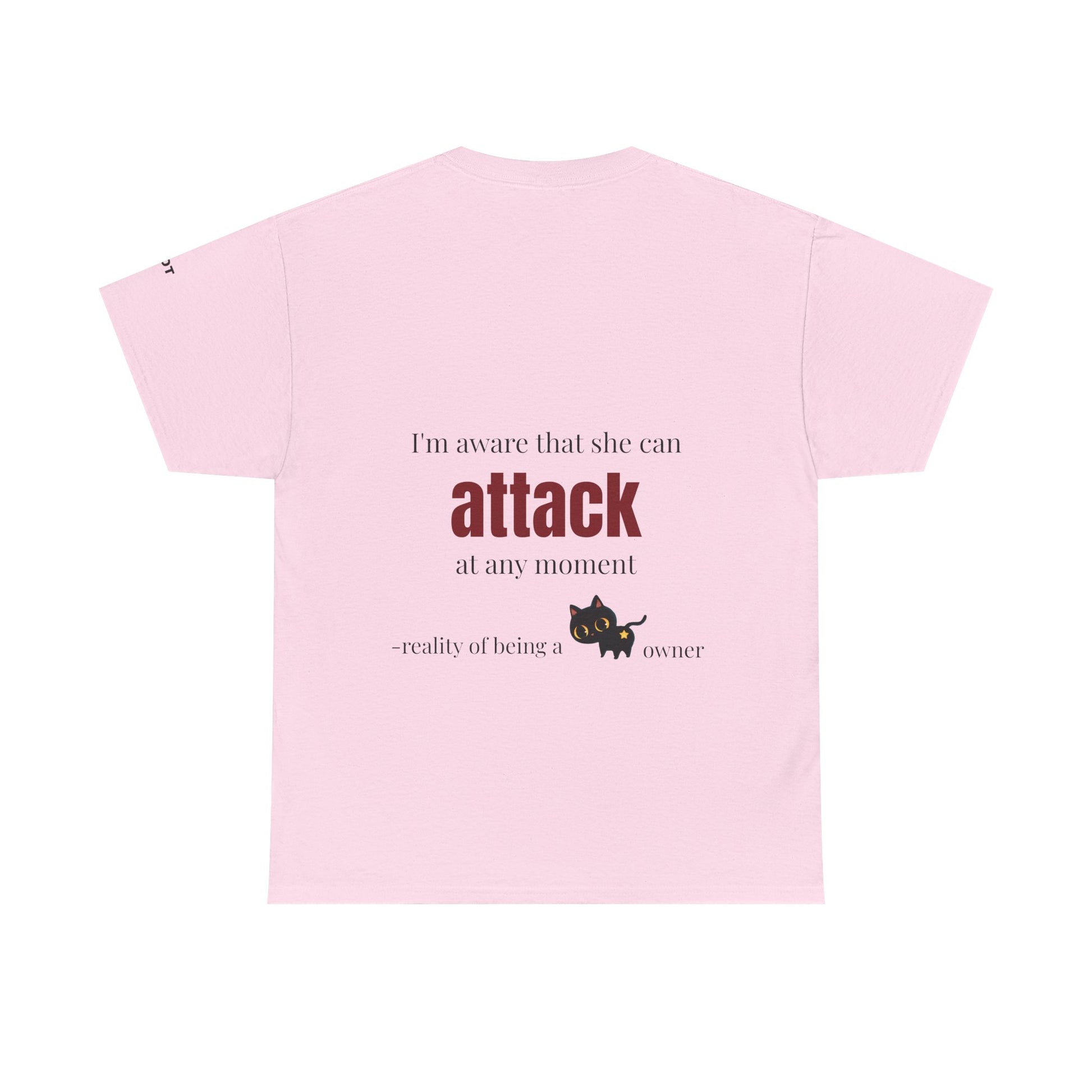 "I'm aware that she can attack at any moment" - reality of being a cat owner - The Voice