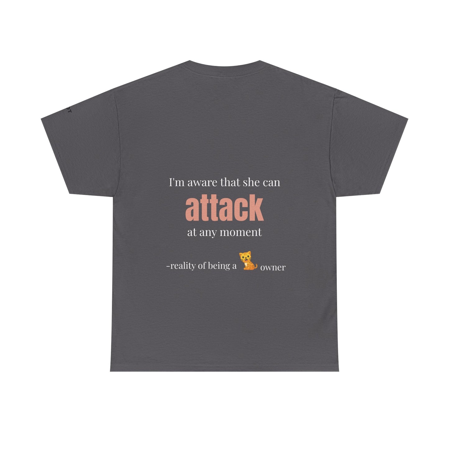 "I'm aware that she can attack at any moment" - reality of being a cat owner