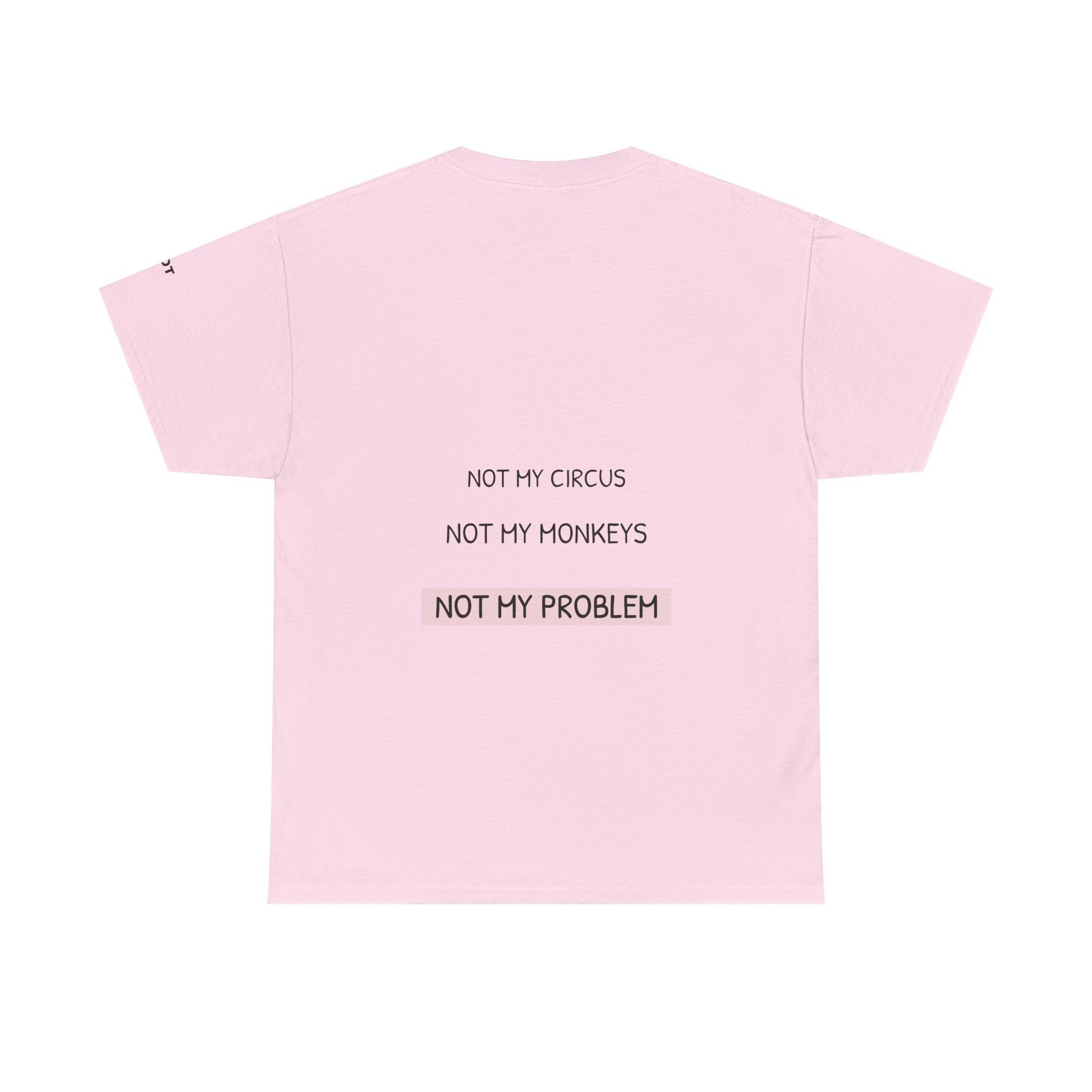 Not my circus, not my monkeys, not my problem - The Voice