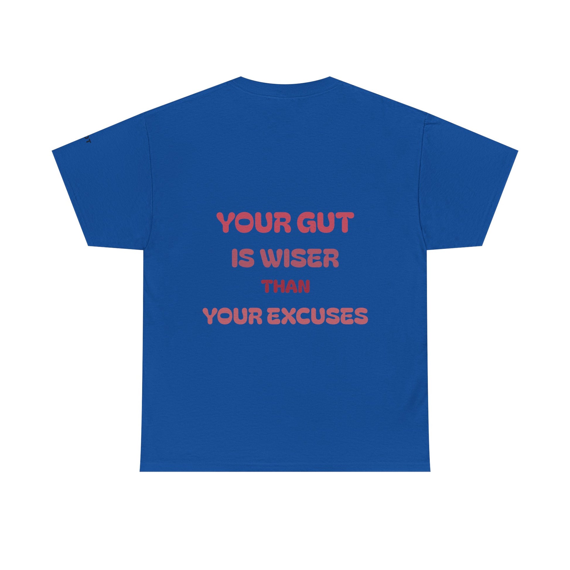 Your gut is wiser than your excuses - The Voice