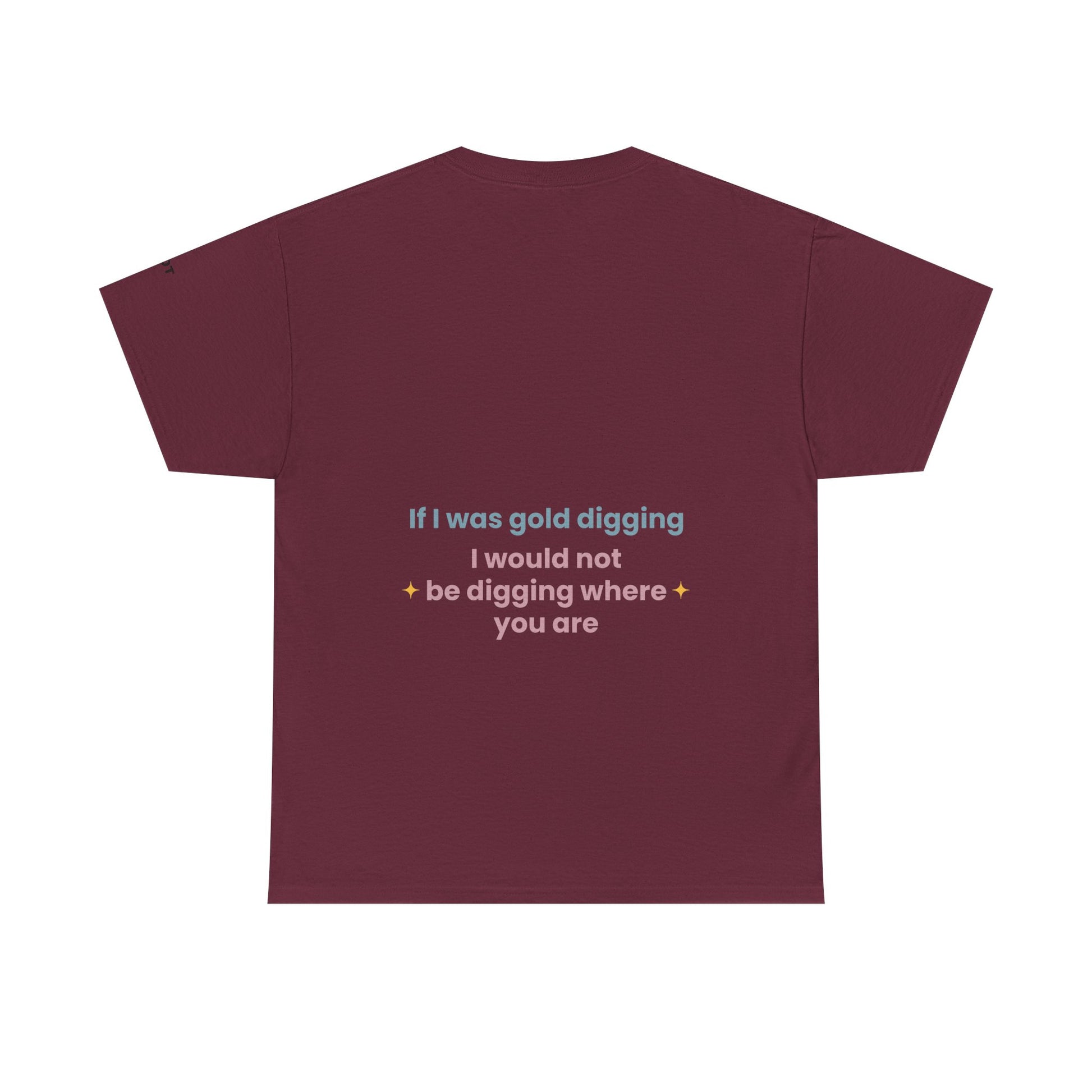 If I was gold digging, I would not be digging where you are - The Voice