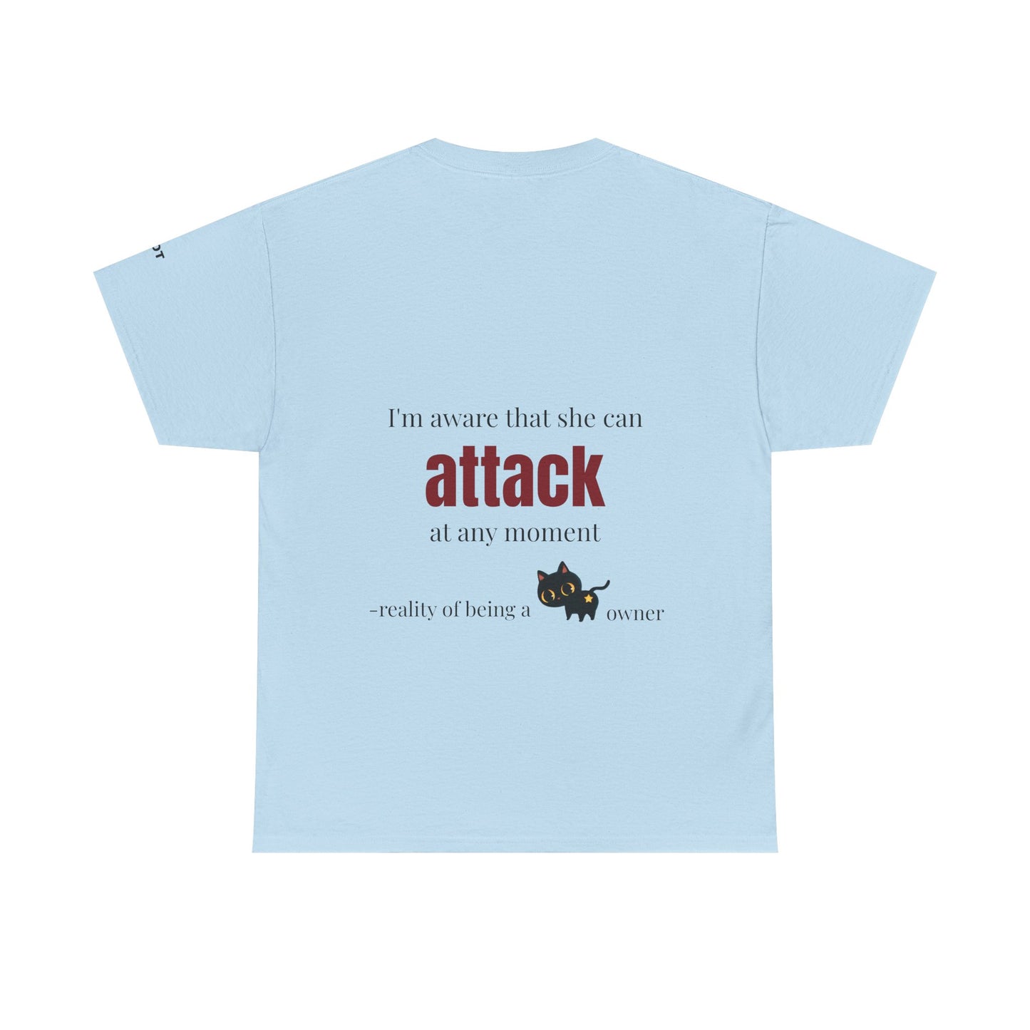 "I'm aware that she can attack at any moment" - reality of being a cat owner