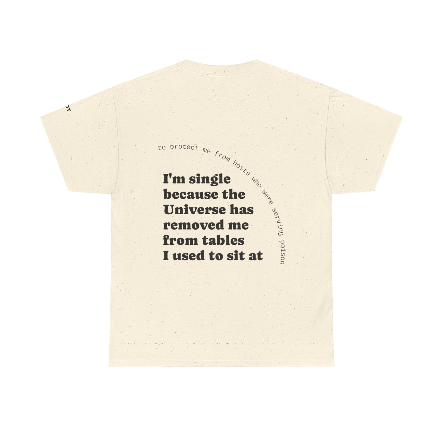 I'm single because the Universe has removed me from tables I used to sit at, to protect me from hosts who were serving poison - The Voice