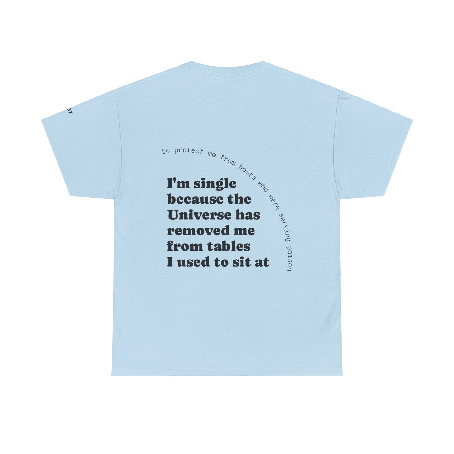 I'm single because the Universe has removed me from tables I used to sit at, to protect me from hosts who were serving poison - The Voice