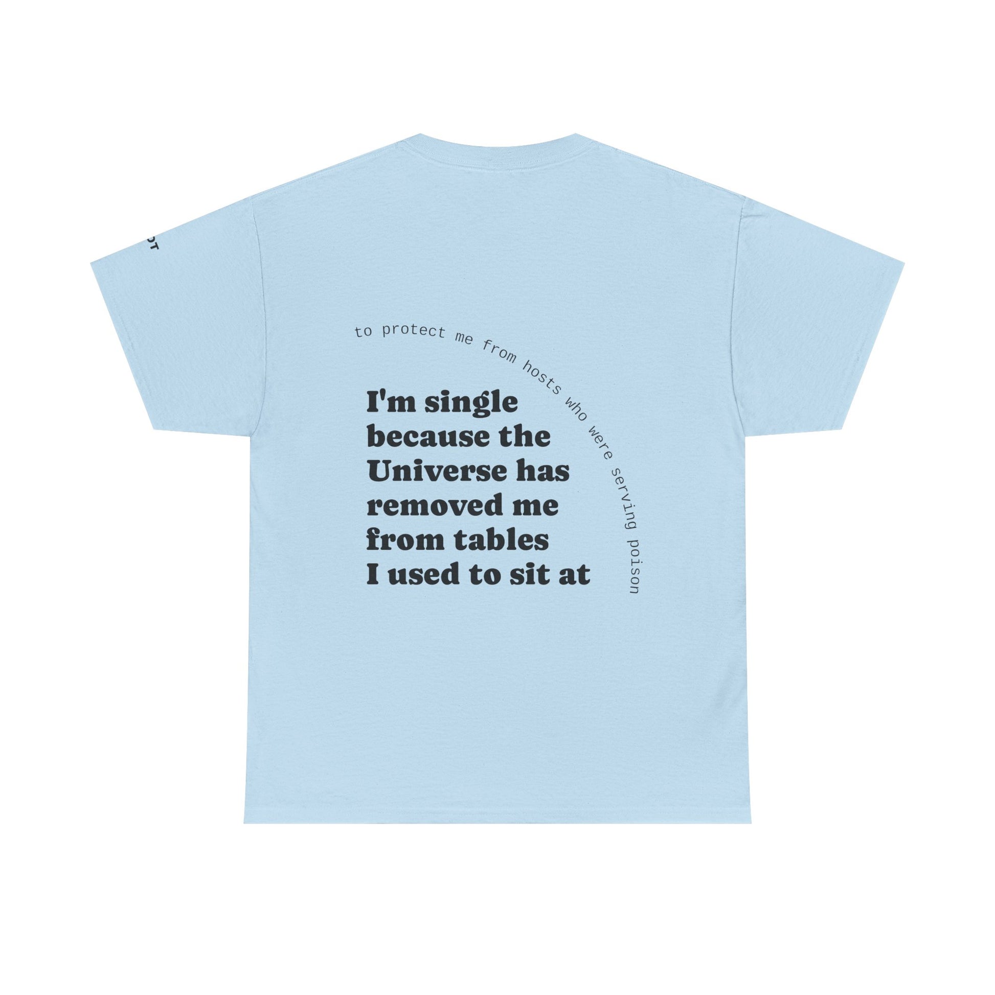 I'm single because the Universe has removed me from tables I used to sit at, to protect me from hosts who were serving poison - The Voice