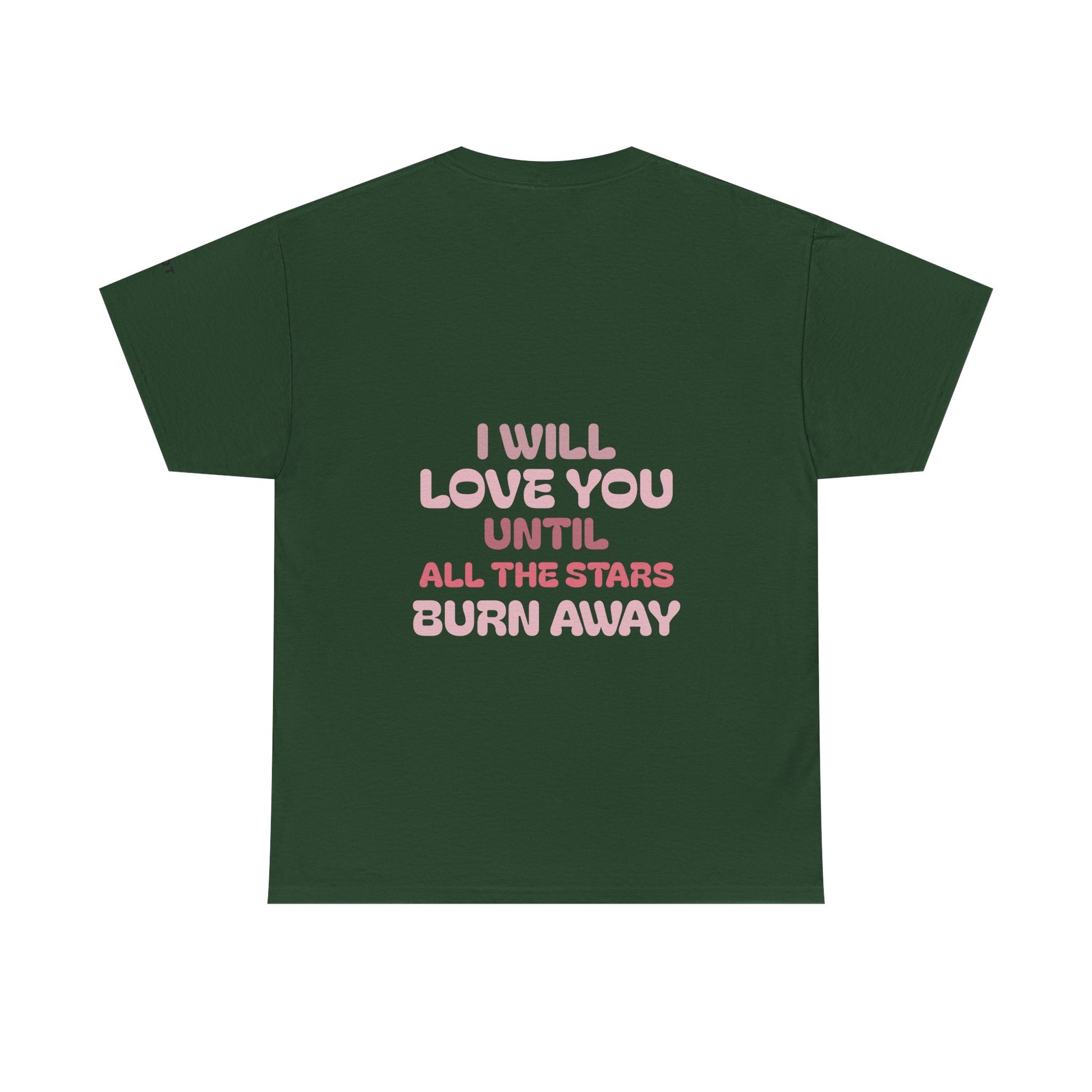 I will love you until the stars all burn away - The Voice