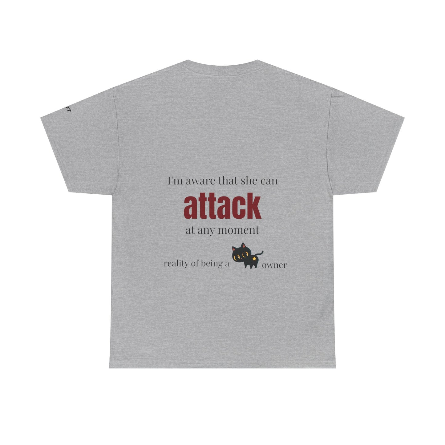 "I'm aware that she can attack at any moment" - reality of being a cat owner