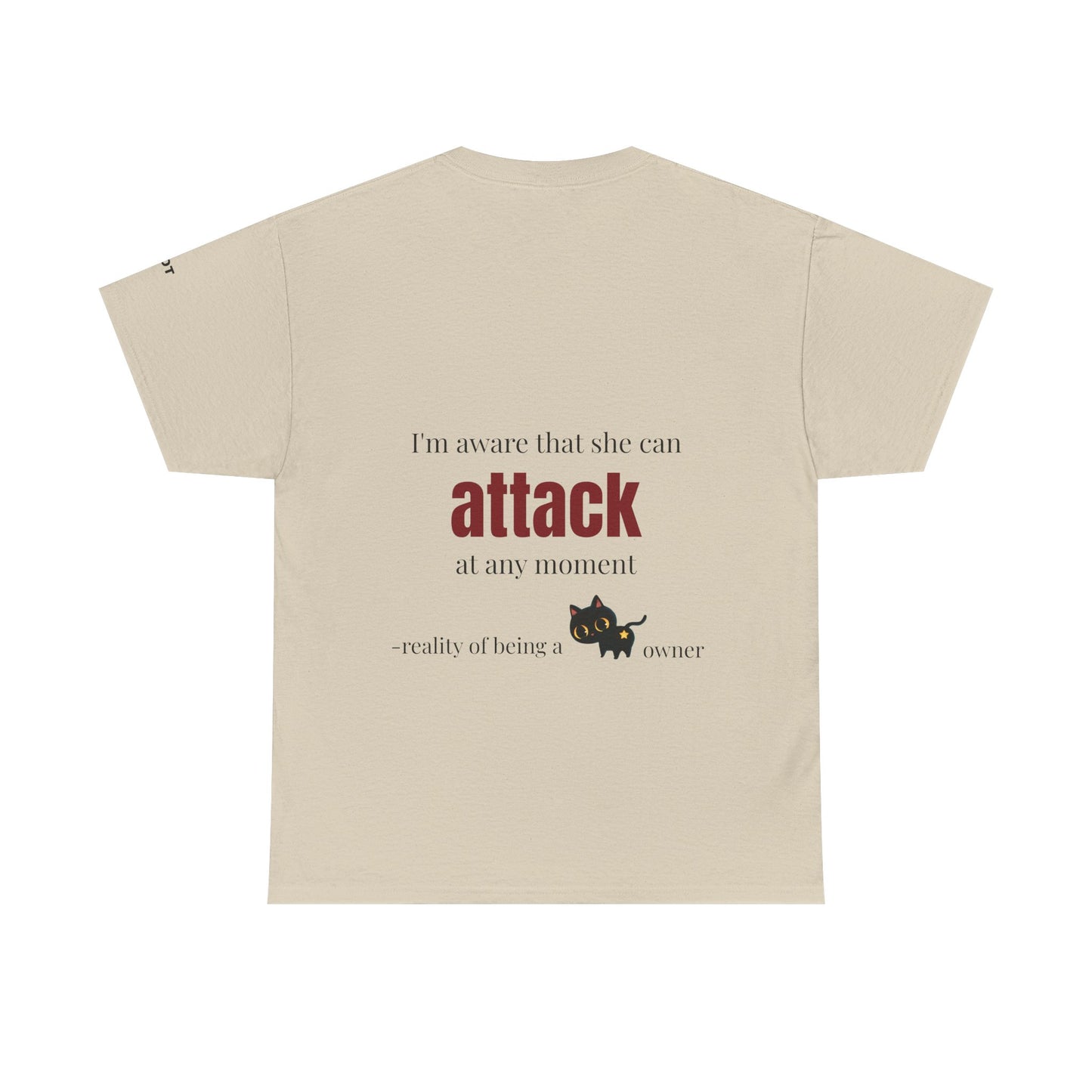"I'm aware that she can attack at any moment" - reality of being a cat owner