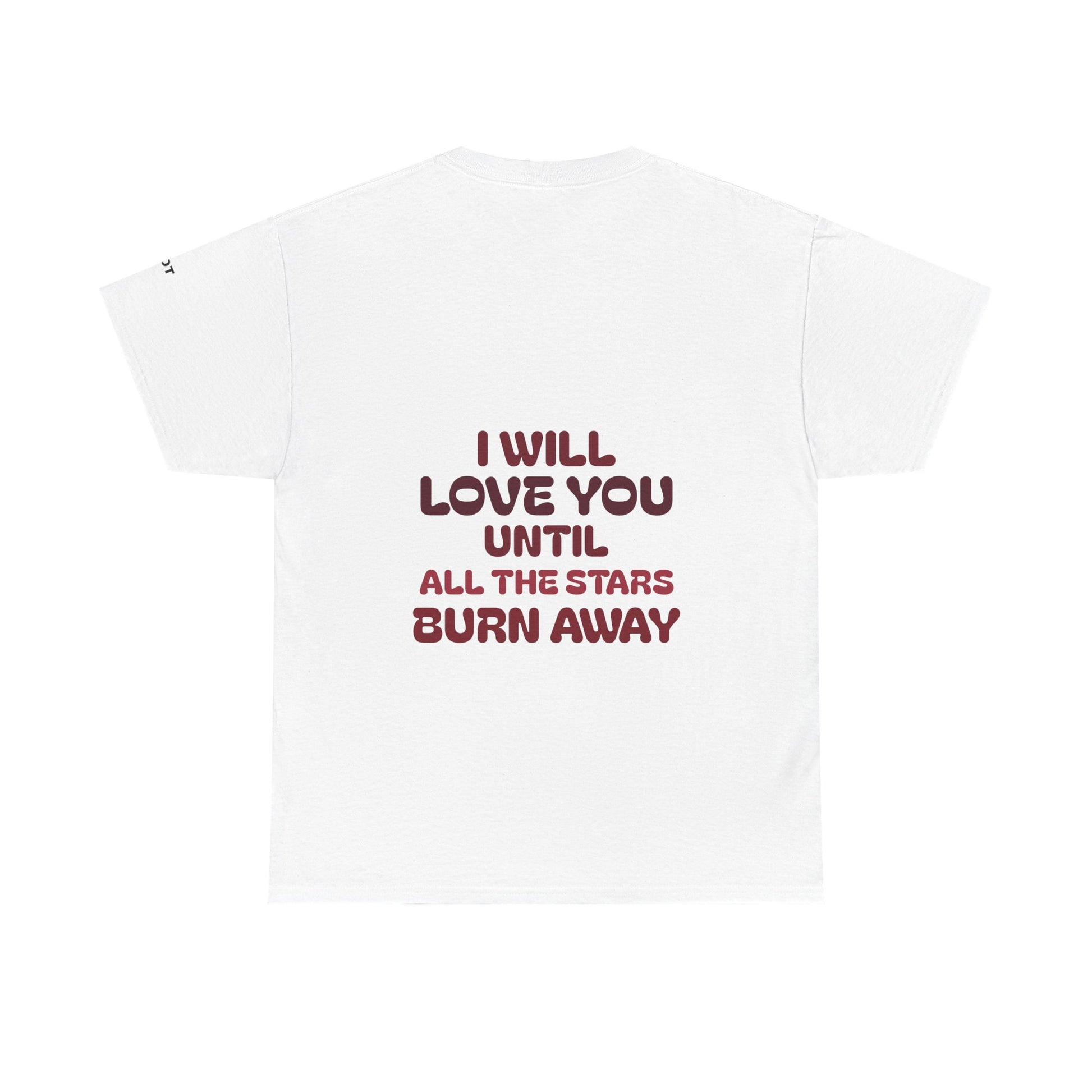 I will love you until the stars all burn away - The Voice