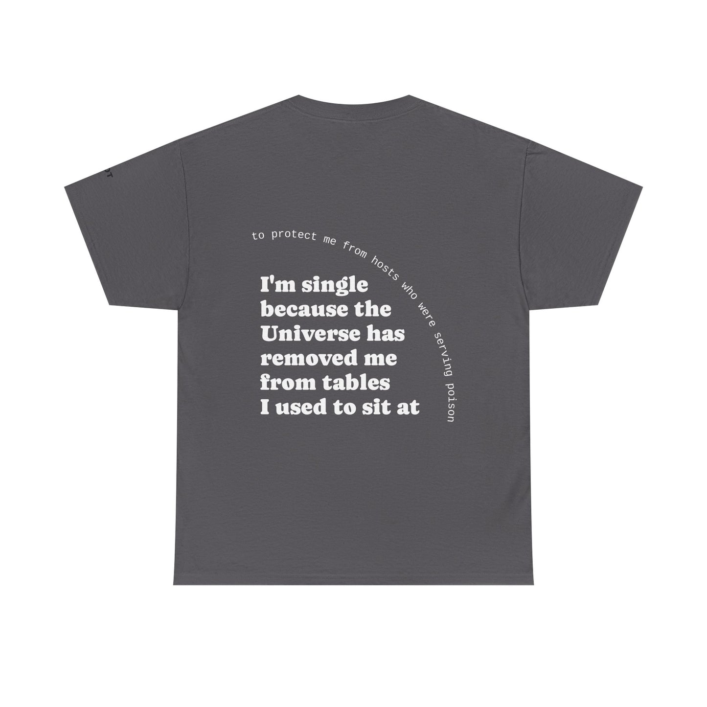I'm single because the Universe has removed me from tables I used to sit at, to protect me from hosts who were serving poison - The Voice