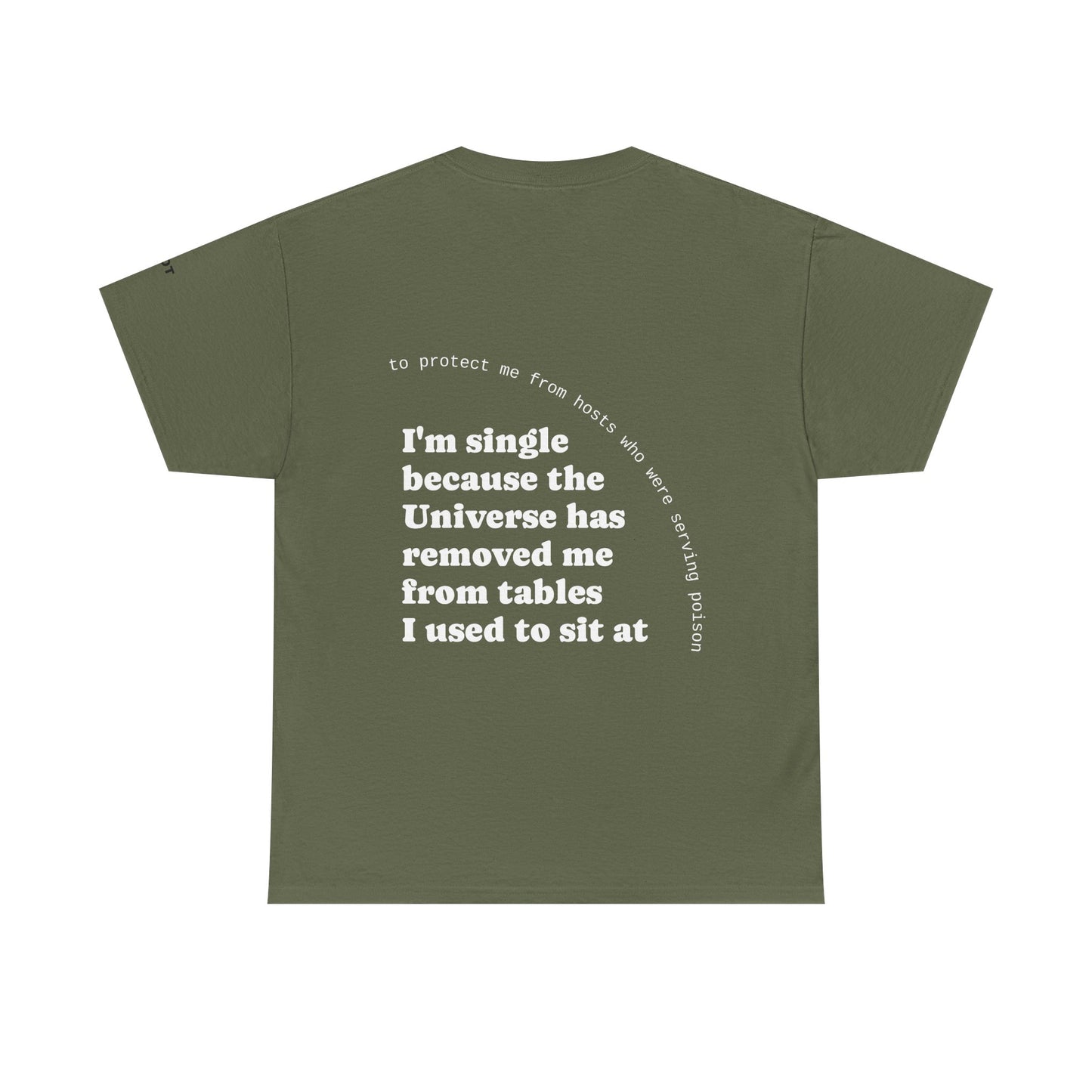 I'm single because the Universe has removed me from tables I used to sit at, to protect me from hosts who were serving poison - The Voice