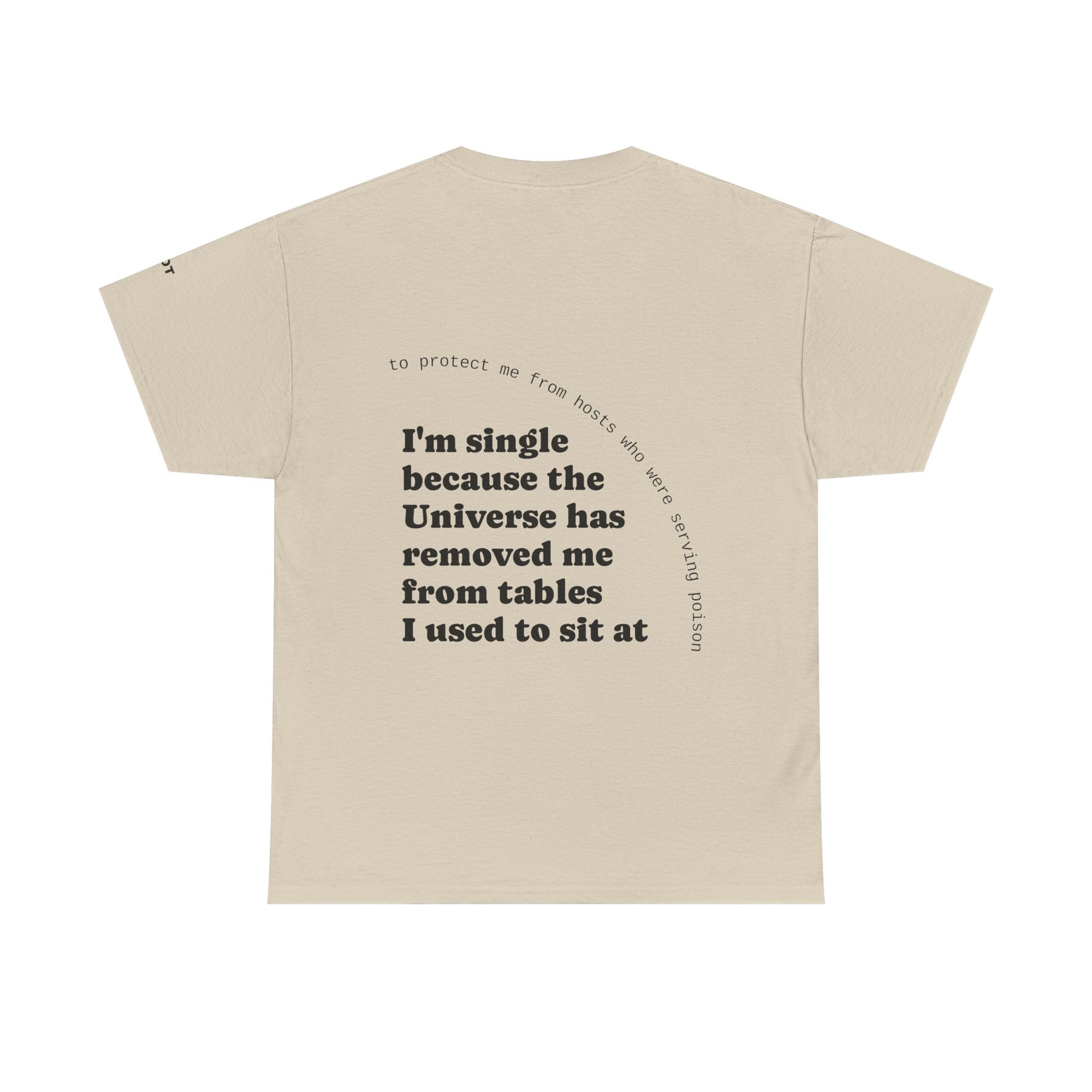 I'm single because the Universe has removed me from tables I used to sit at, to protect me from hosts who were serving poison - The Voice