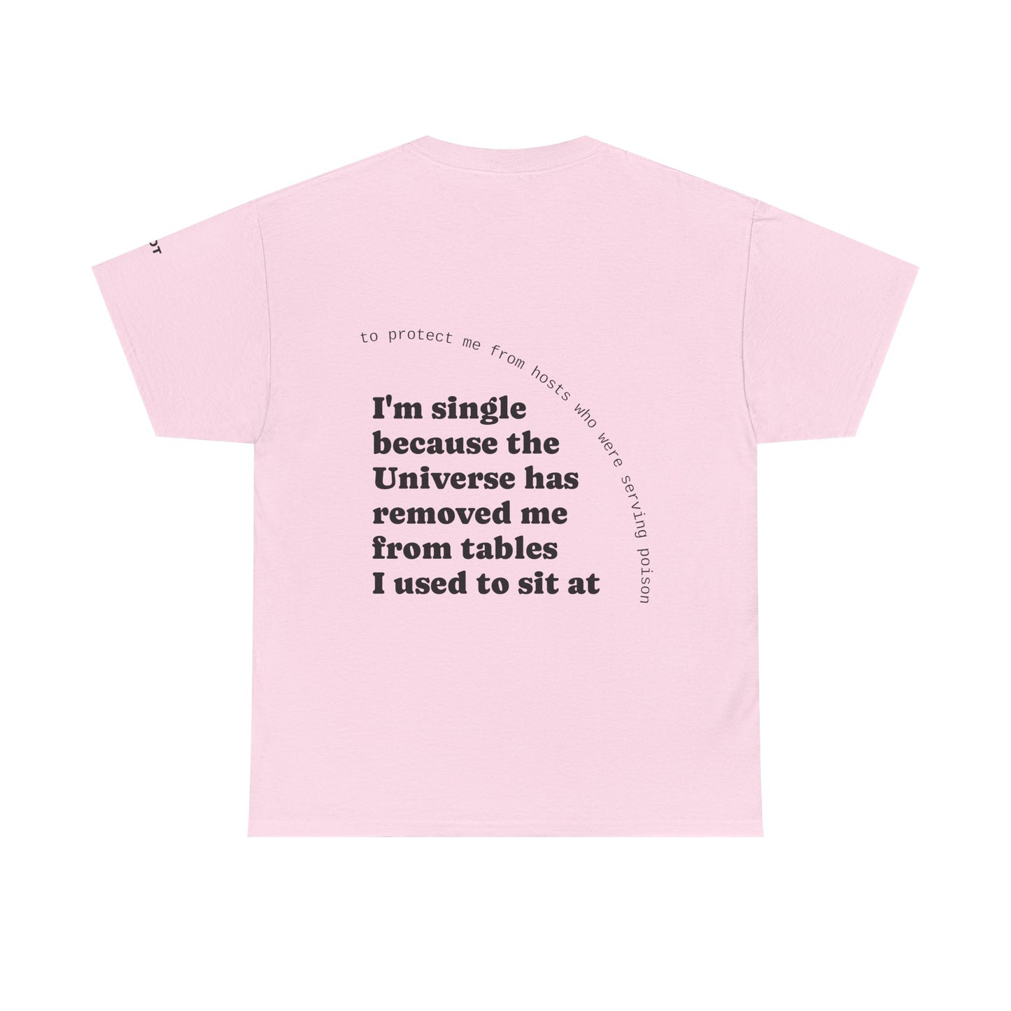 I'm single because the Universe has removed me from tables I used to sit at, to protect me from hosts who were serving poison - The Voice