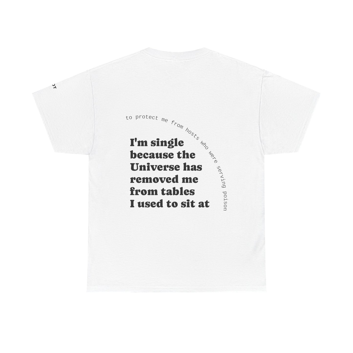 I'm single because the Universe has removed me from tables I used to sit at, to protect me from hosts who were serving poison - The Voice