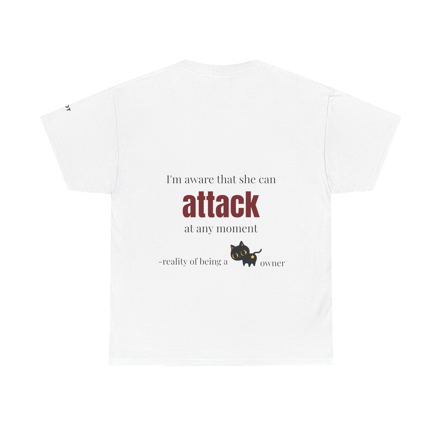 "I'm aware that she can attack at any moment" - reality of being a cat owner