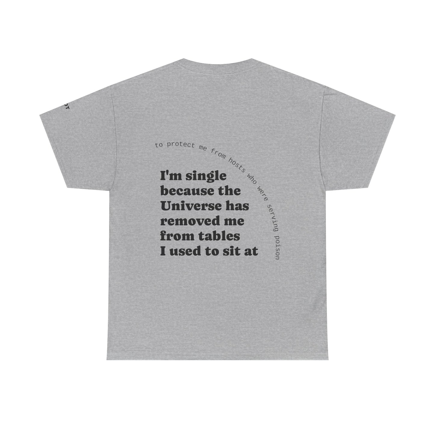 I'm single because the Universe has removed me from tables I used to sit at, to protect me from hosts who were serving poison - The Voice