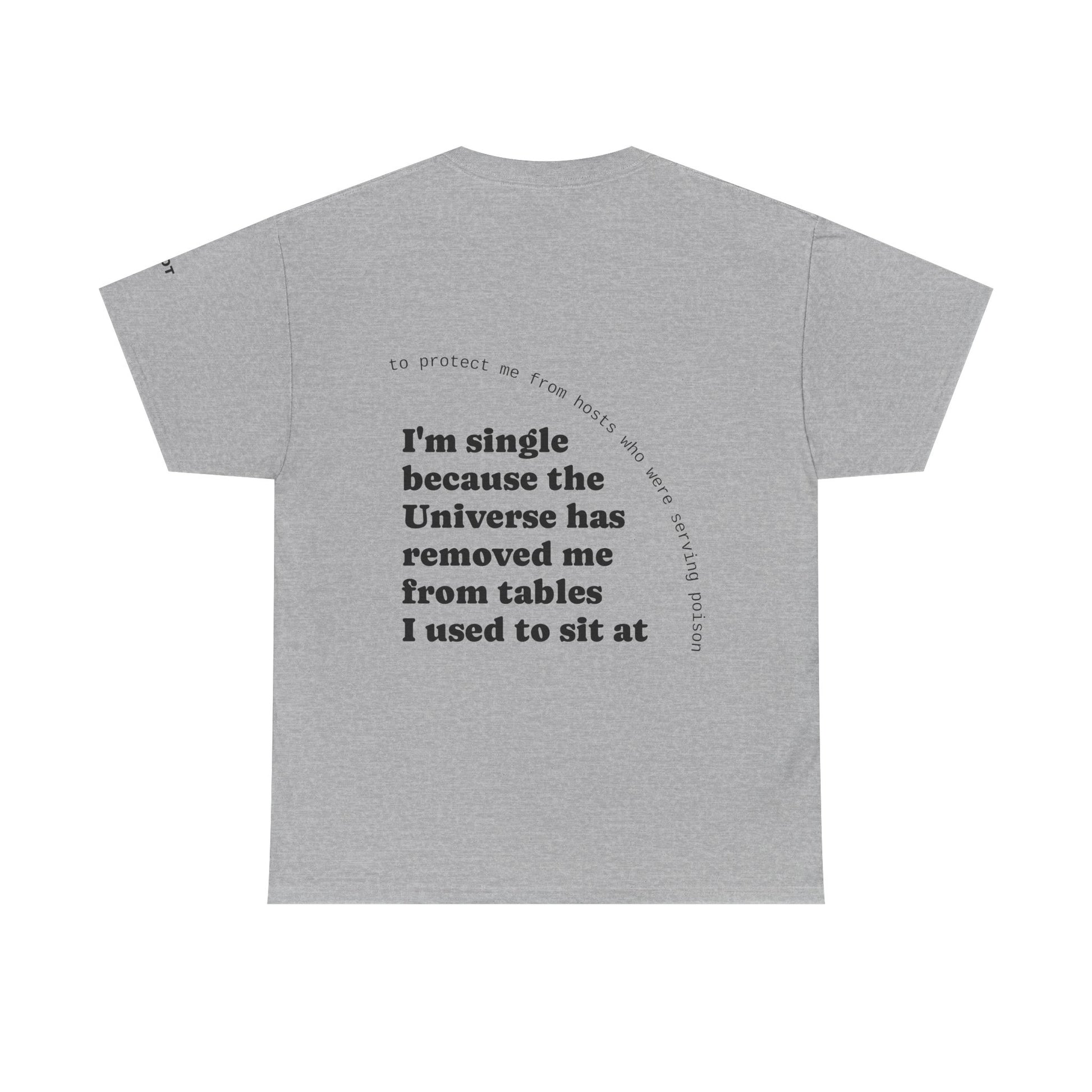 I'm single because the Universe has removed me from tables I used to sit at, to protect me from hosts who were serving poison - The Voice