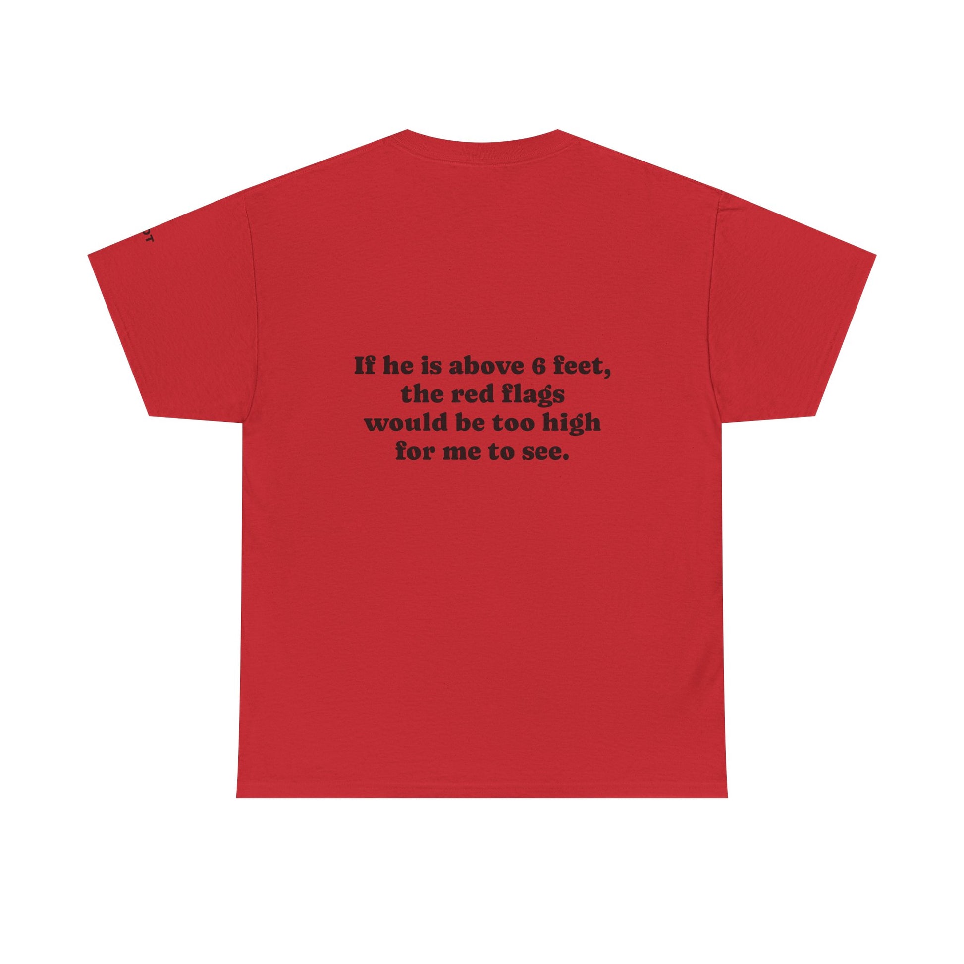 If he is above 6 feet, the red flags would be too high for me to see. - The Voice