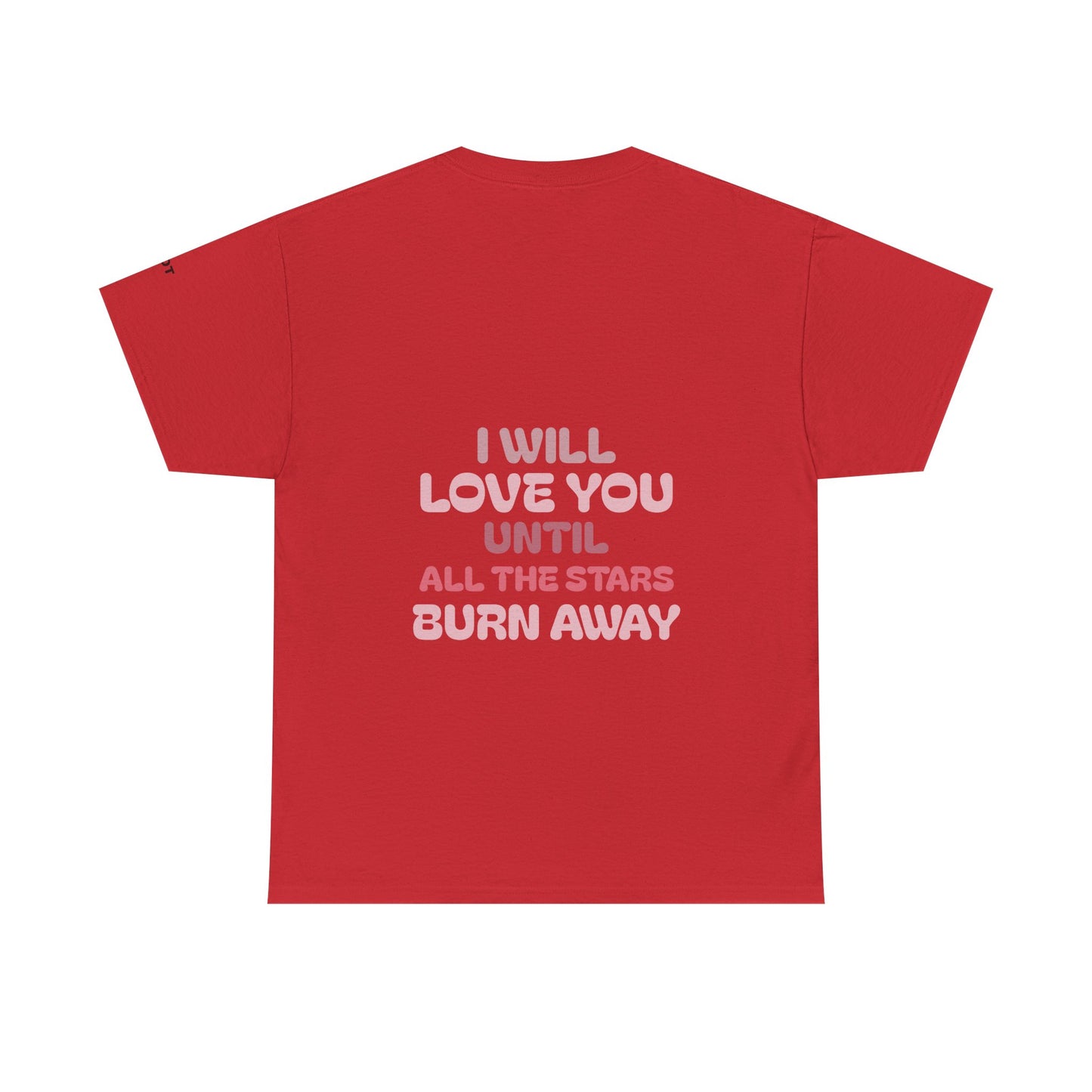 I will love you until the stars all burn away - The Voice